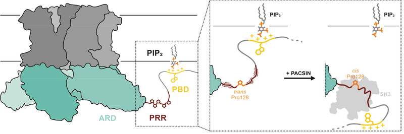 Figure 5: