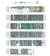 Figure 1—figure supplement 1.