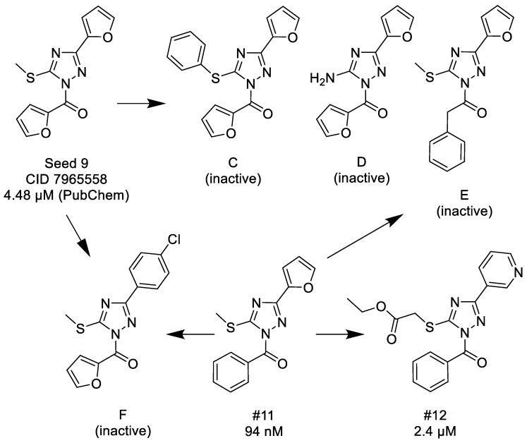 Scheme 6