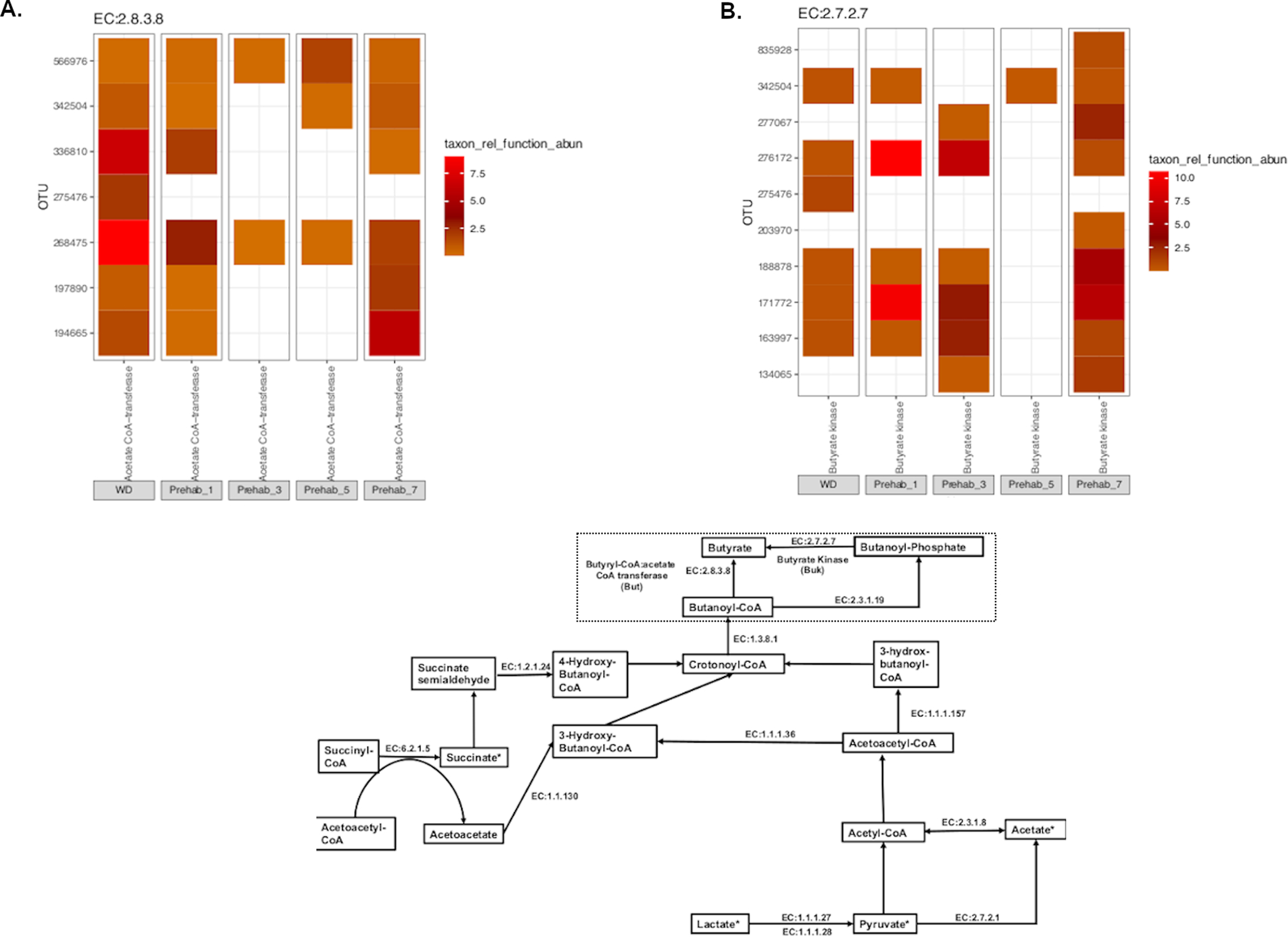 Figure 6: