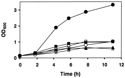 FIG. 5