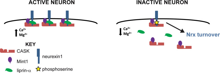 Fig. 8