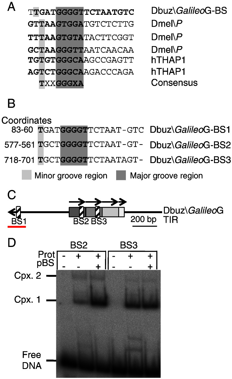 Fig. 6