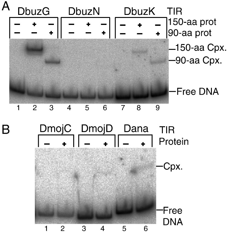 Fig. 4