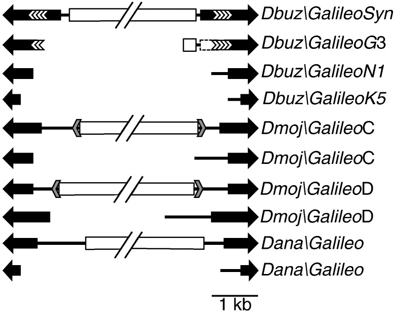 Fig. 1