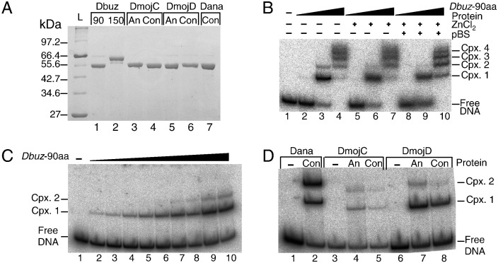 Fig. 3