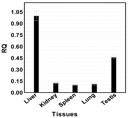 Figure 12