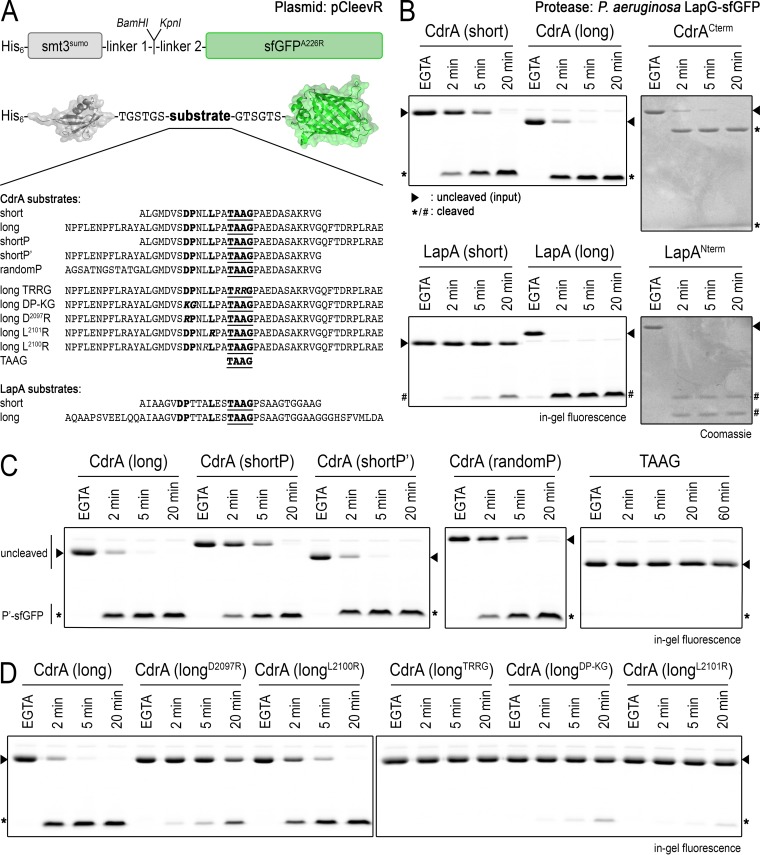 FIG 3