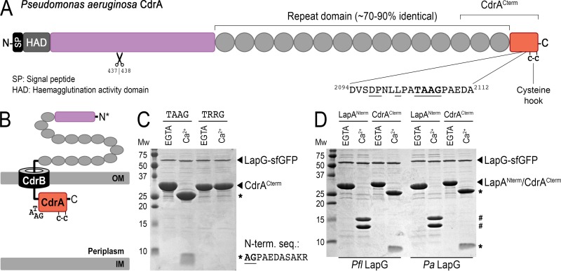 FIG 2