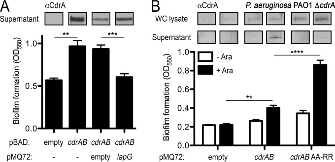 FIG 4