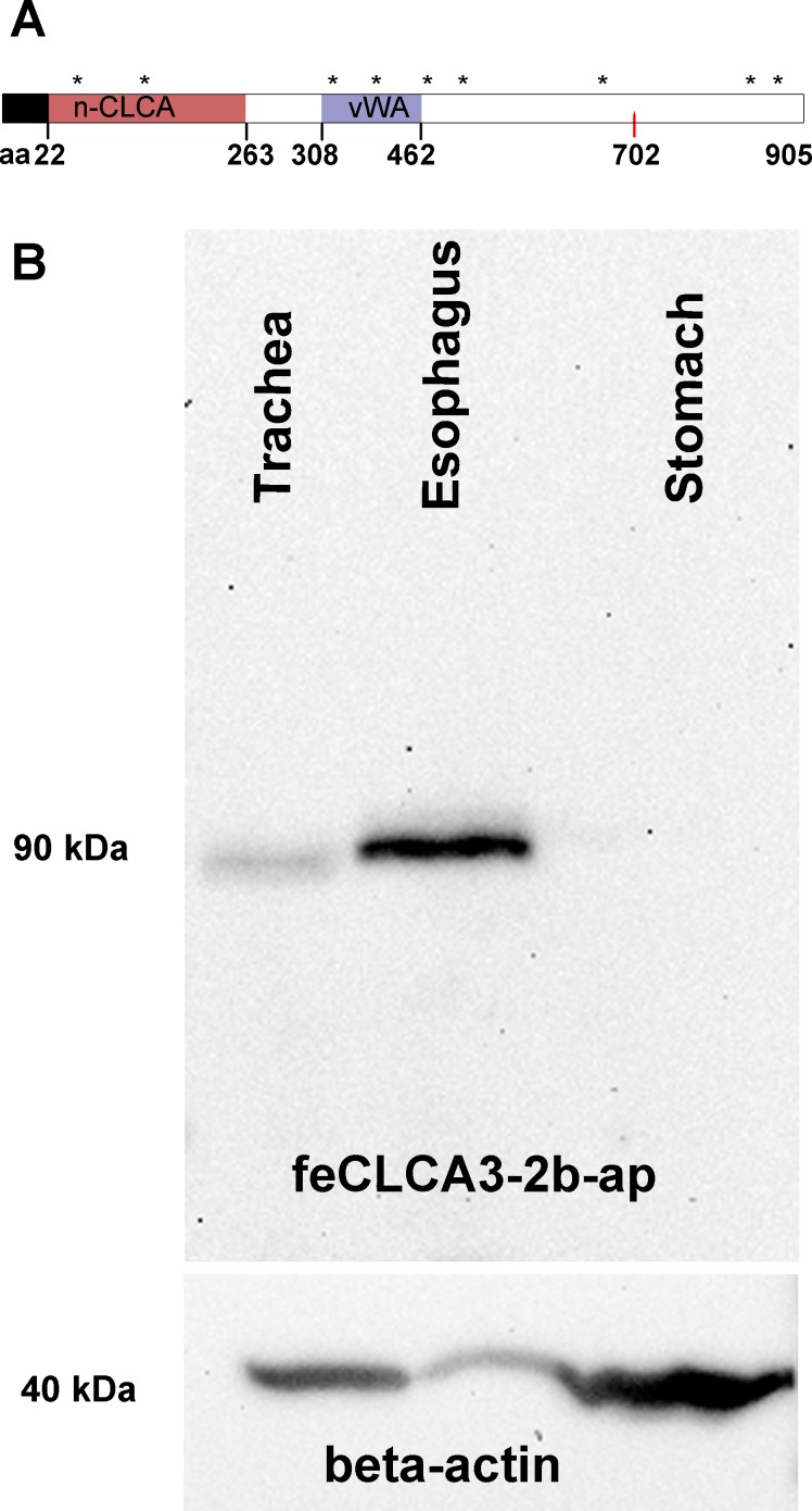 Fig 5