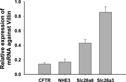 Fig. 10.