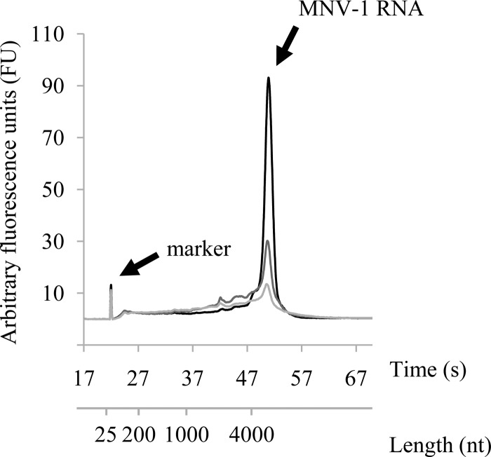 FIG 5