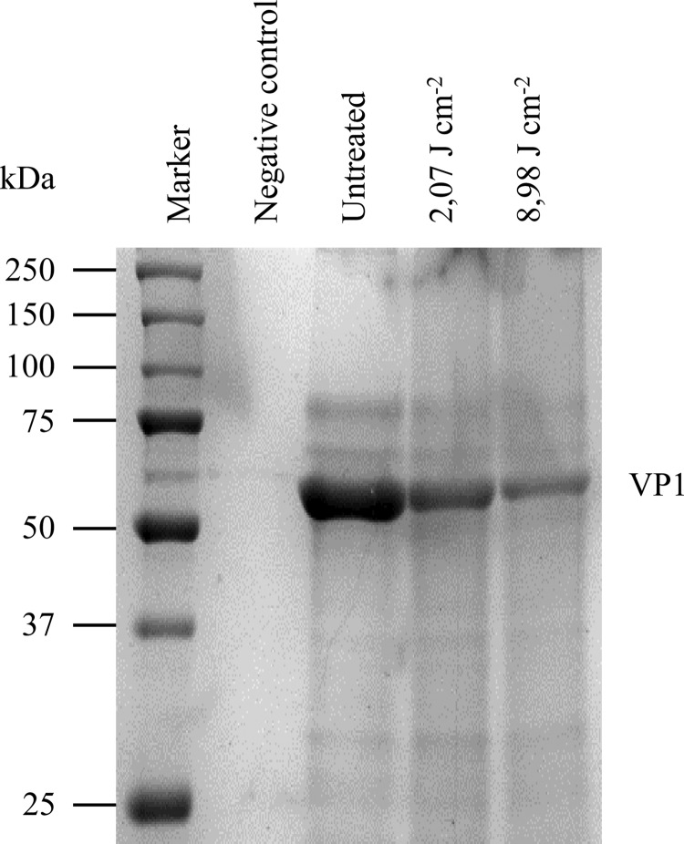 FIG 4