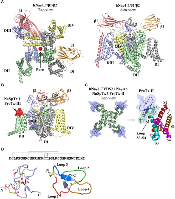 FIGURE 1