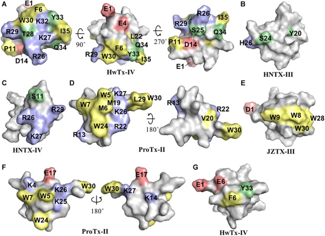 FIGURE 2