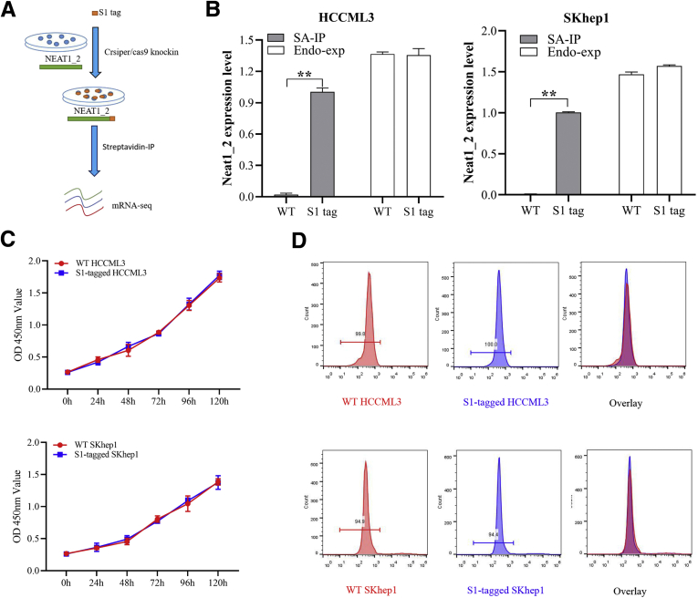 Figure 2