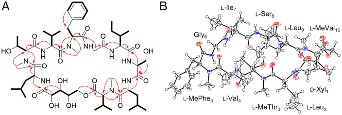 Fig. 2.