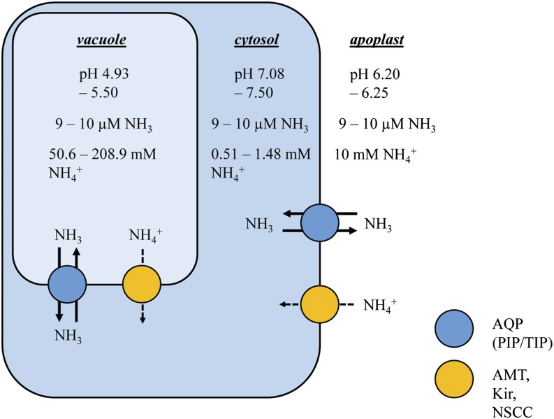 Figure 5.