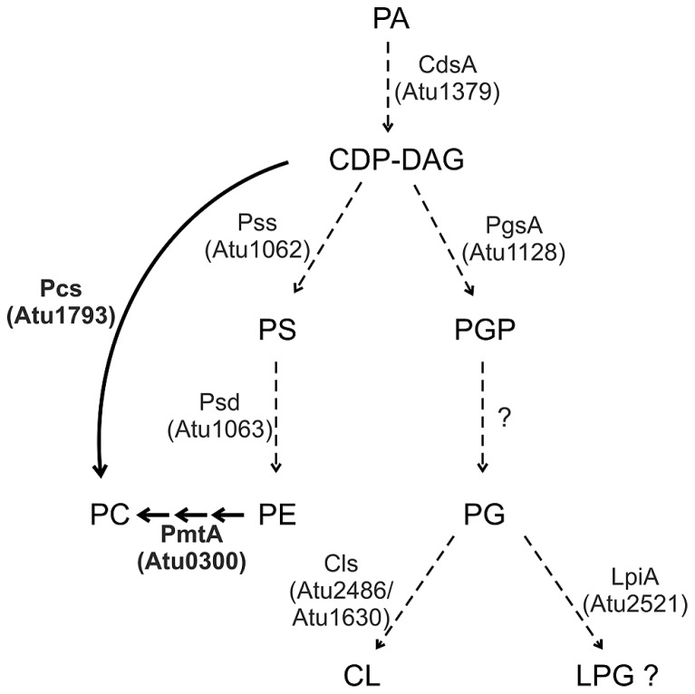 FIGURE 3