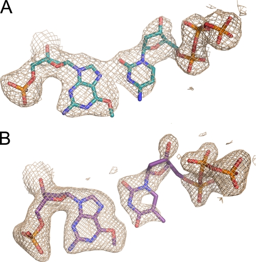 FIGURE 3.