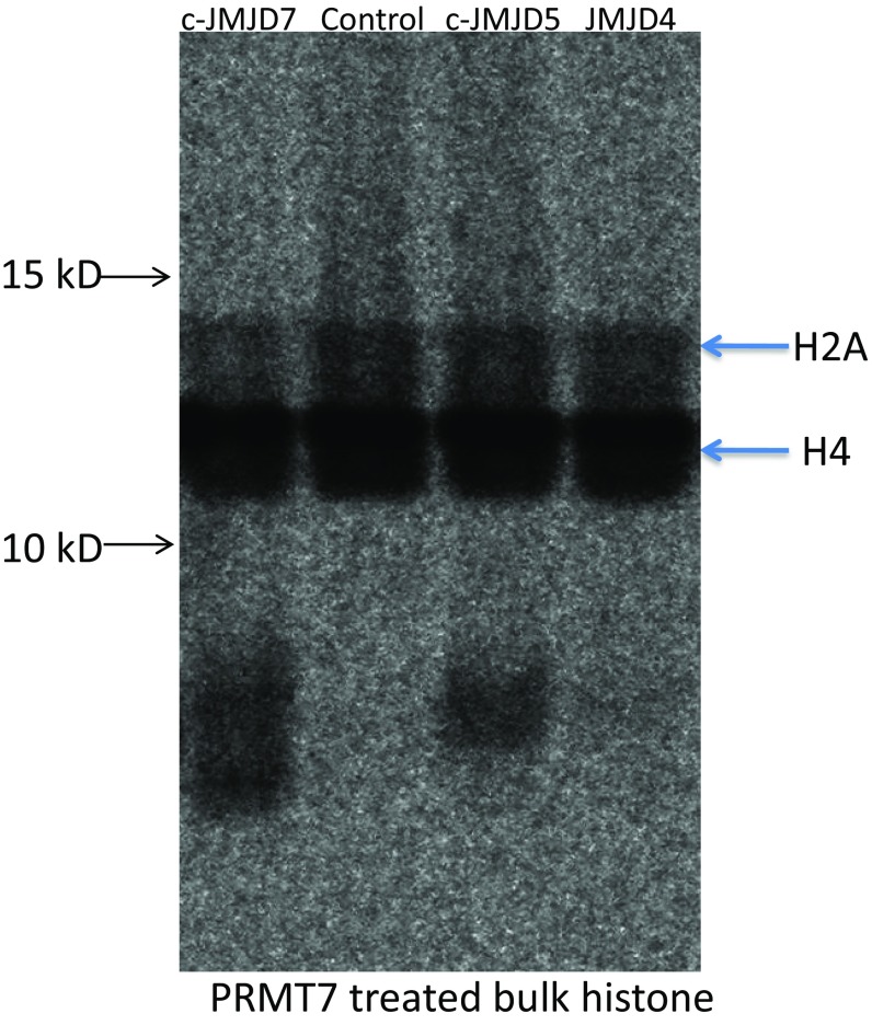 Fig. S5.