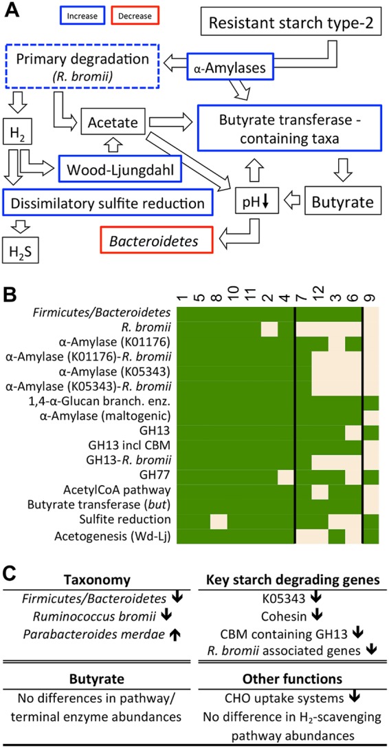 FIG 6