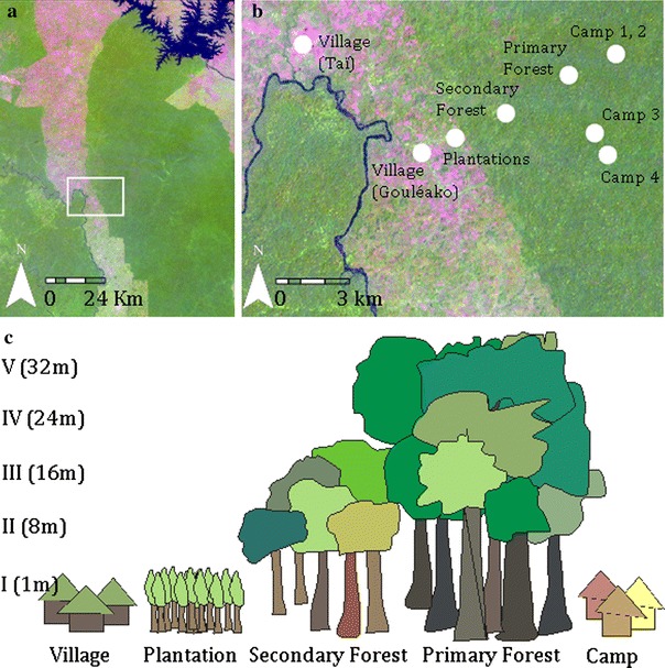 Figure 1