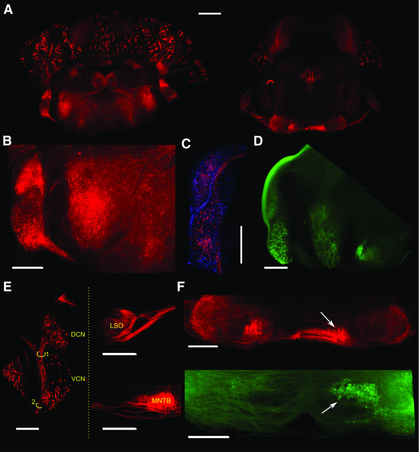 Figure 6.