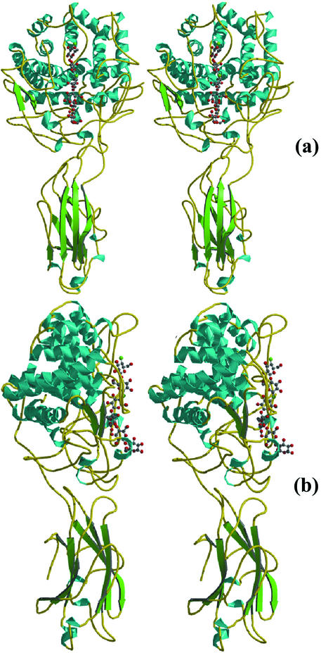 FIG. 2.