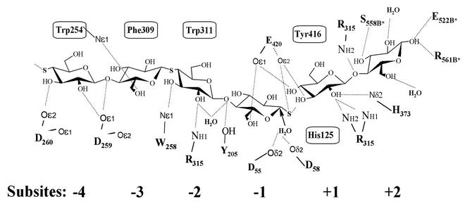 FIG. 5.