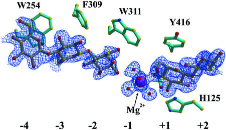 FIG. 4.