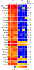 Fig. 3.