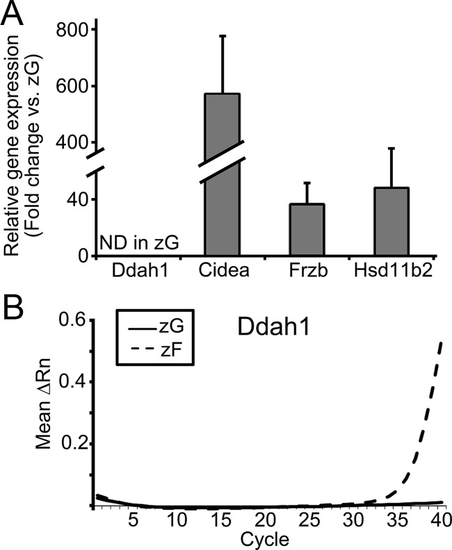 Fig. 7.