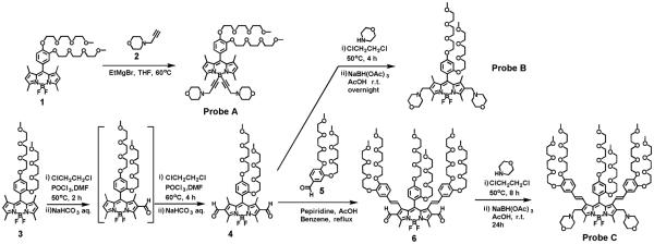 Scheme 1