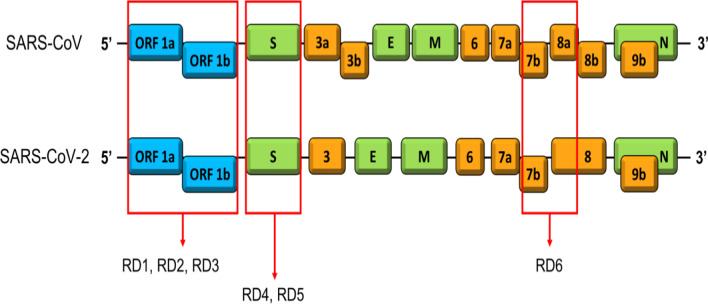 Fig. 1