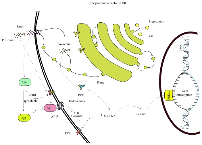 Figure 7