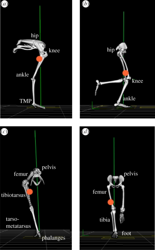 Figure 1.