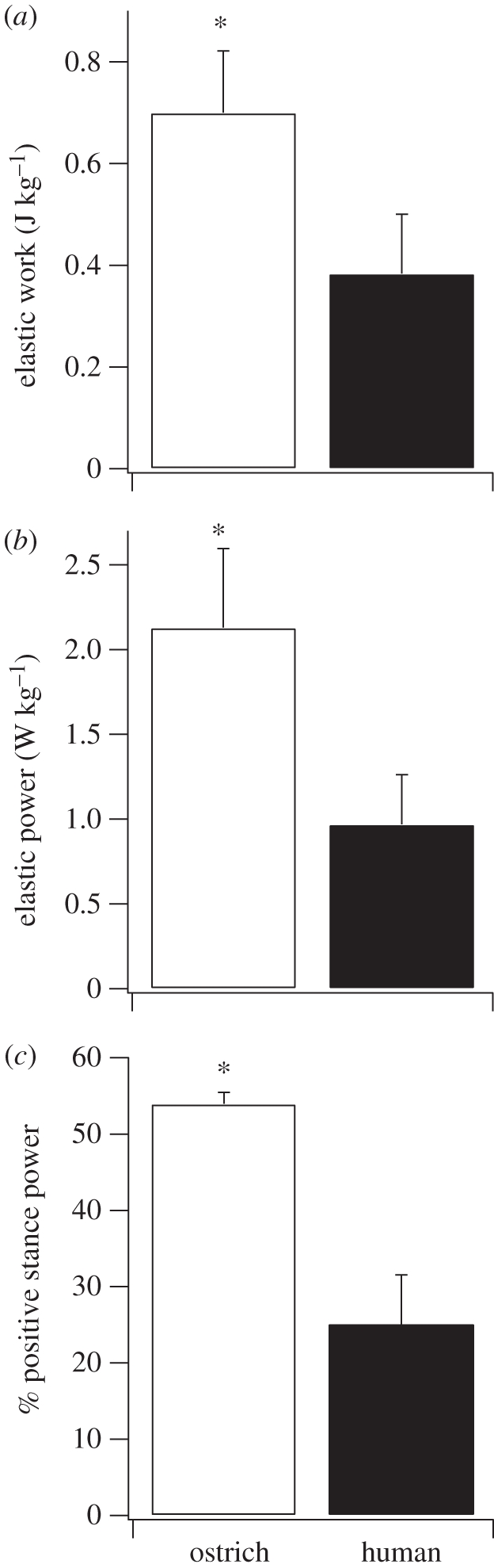 Figure 5.