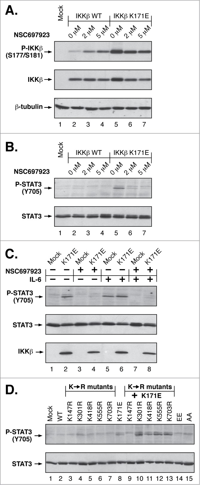 Figure 5.