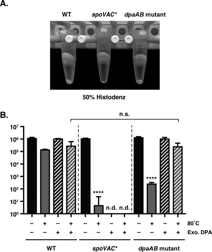 FIG 5