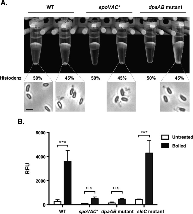 FIG 2