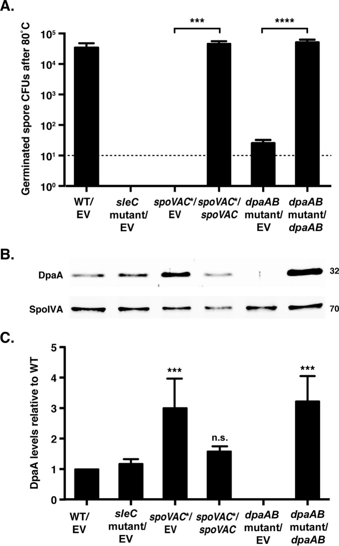 FIG 6