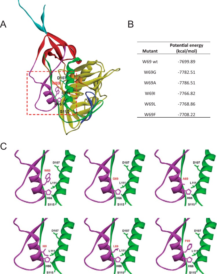 FIG 1