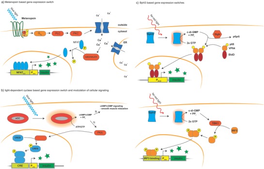 Figure 5