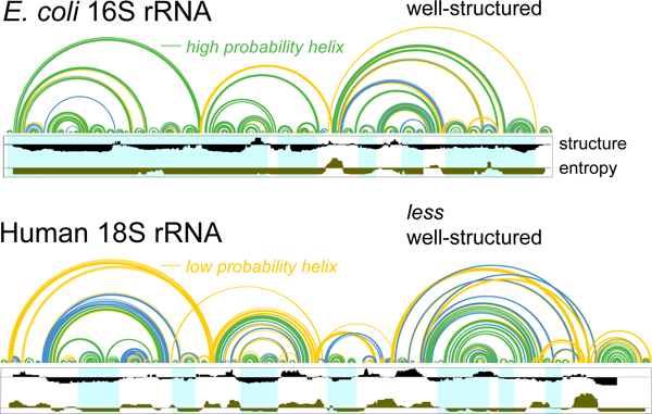 graphic file with name nihms-1045012-f0001.jpg