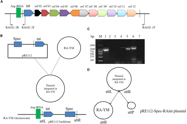 FIGURE 3