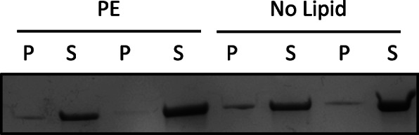 Fig. 5