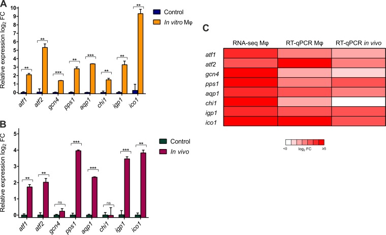 FIG 3