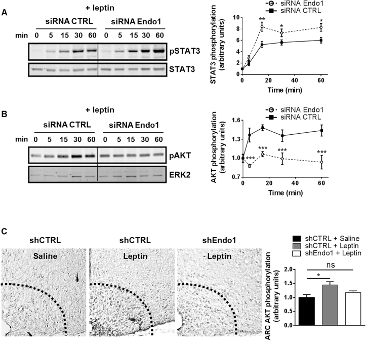 Figure 6